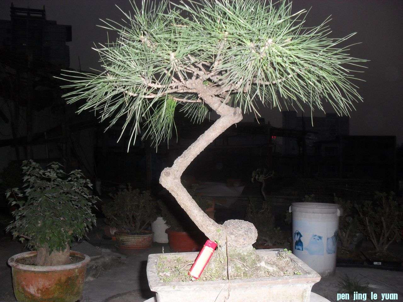 S4.JPG