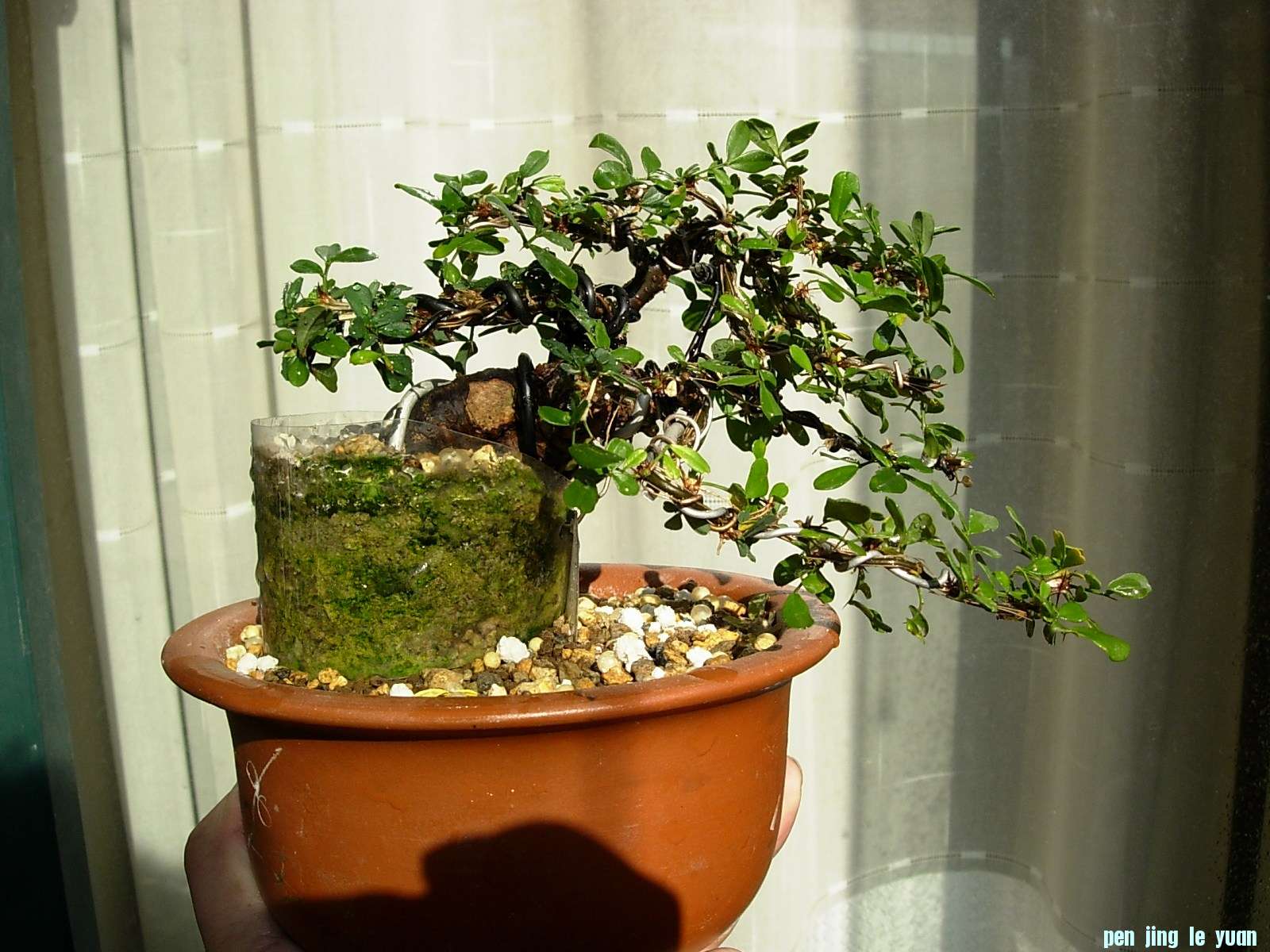 DSCN8646.JPG