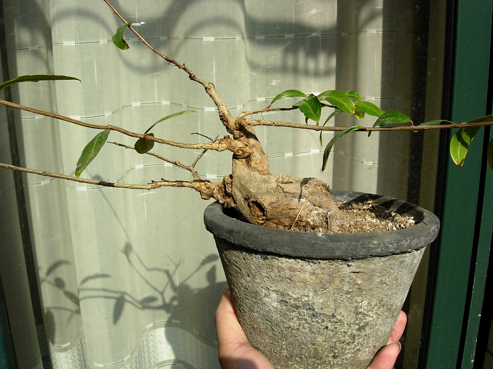 DSCN8649.JPG