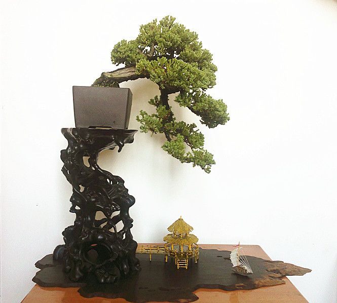 201211131973_.jpg