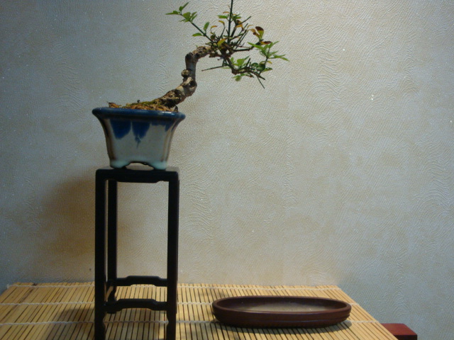 DSC01142.JPG