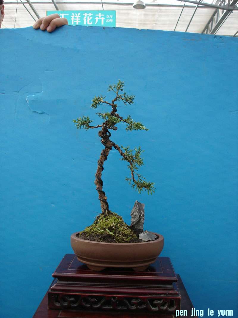 Ƭ 040.jpg