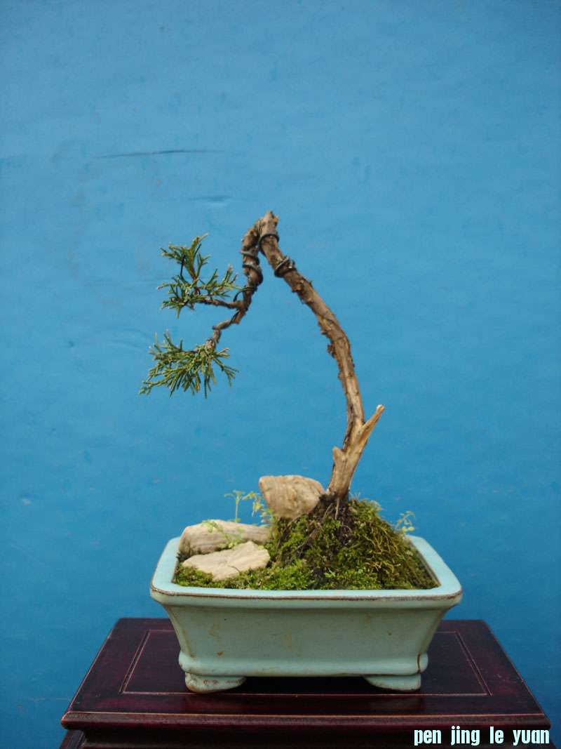 Ƭ 029.jpg