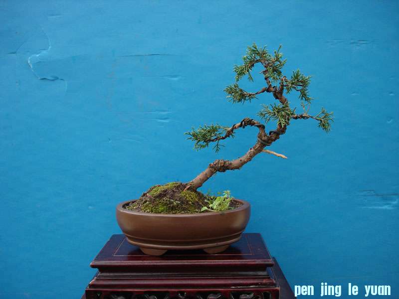 Ƭ 032.jpg
