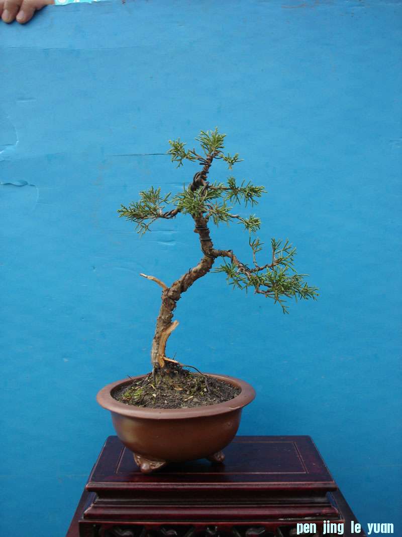 Ƭ 033.jpg