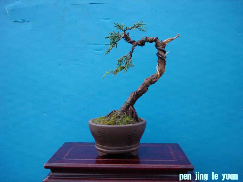 Ƭ 034.jpg