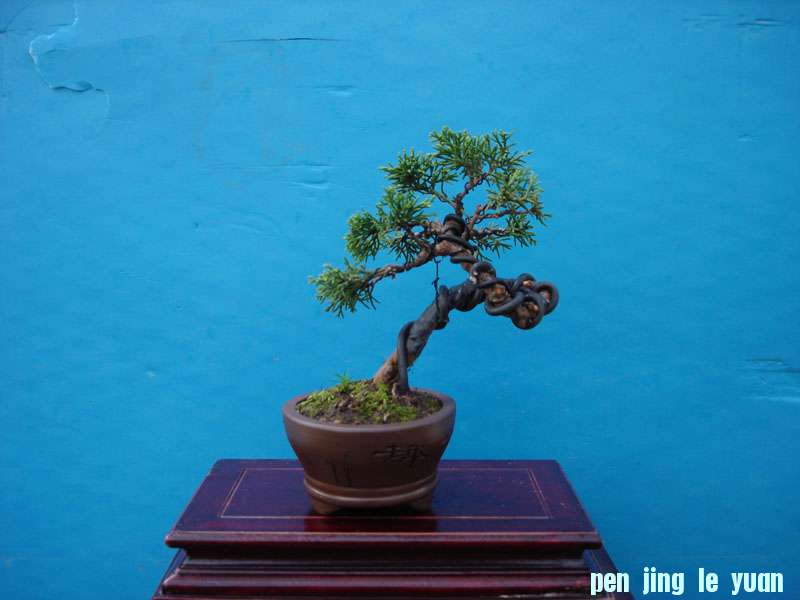 Ƭ 035.jpg