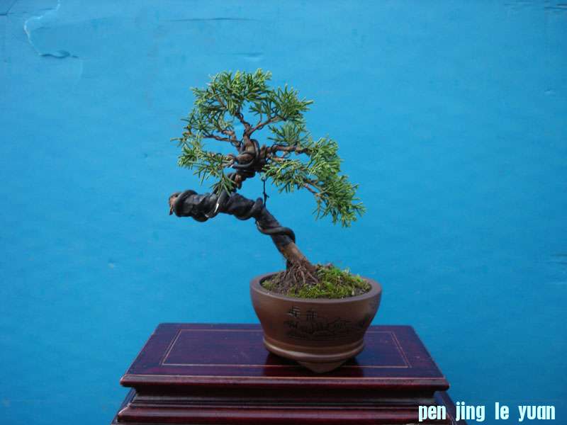 Ƭ 036.jpg