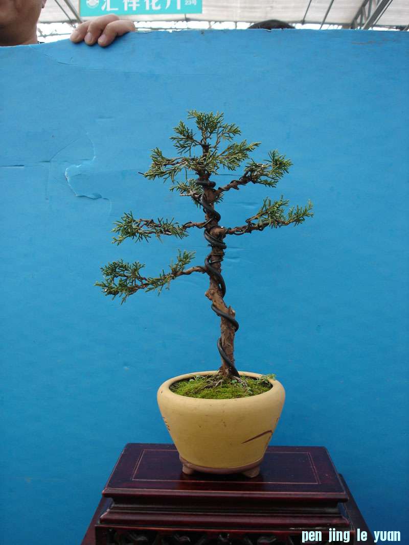 Ƭ 038.jpg