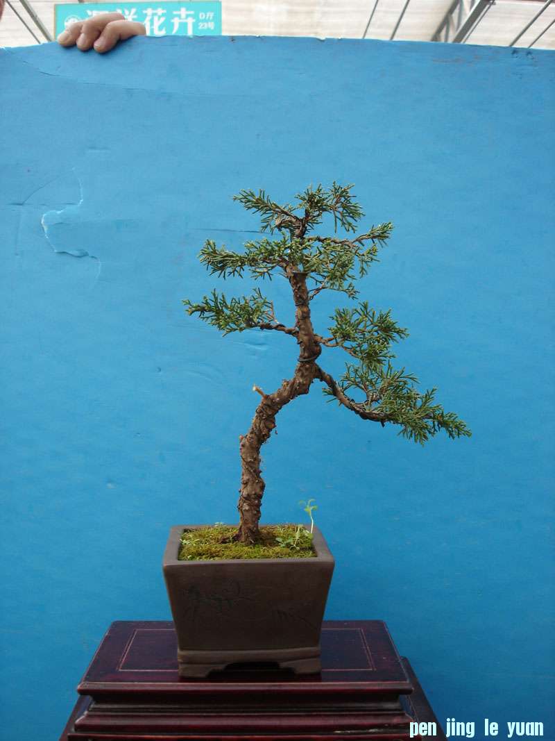 Ƭ 039.jpg