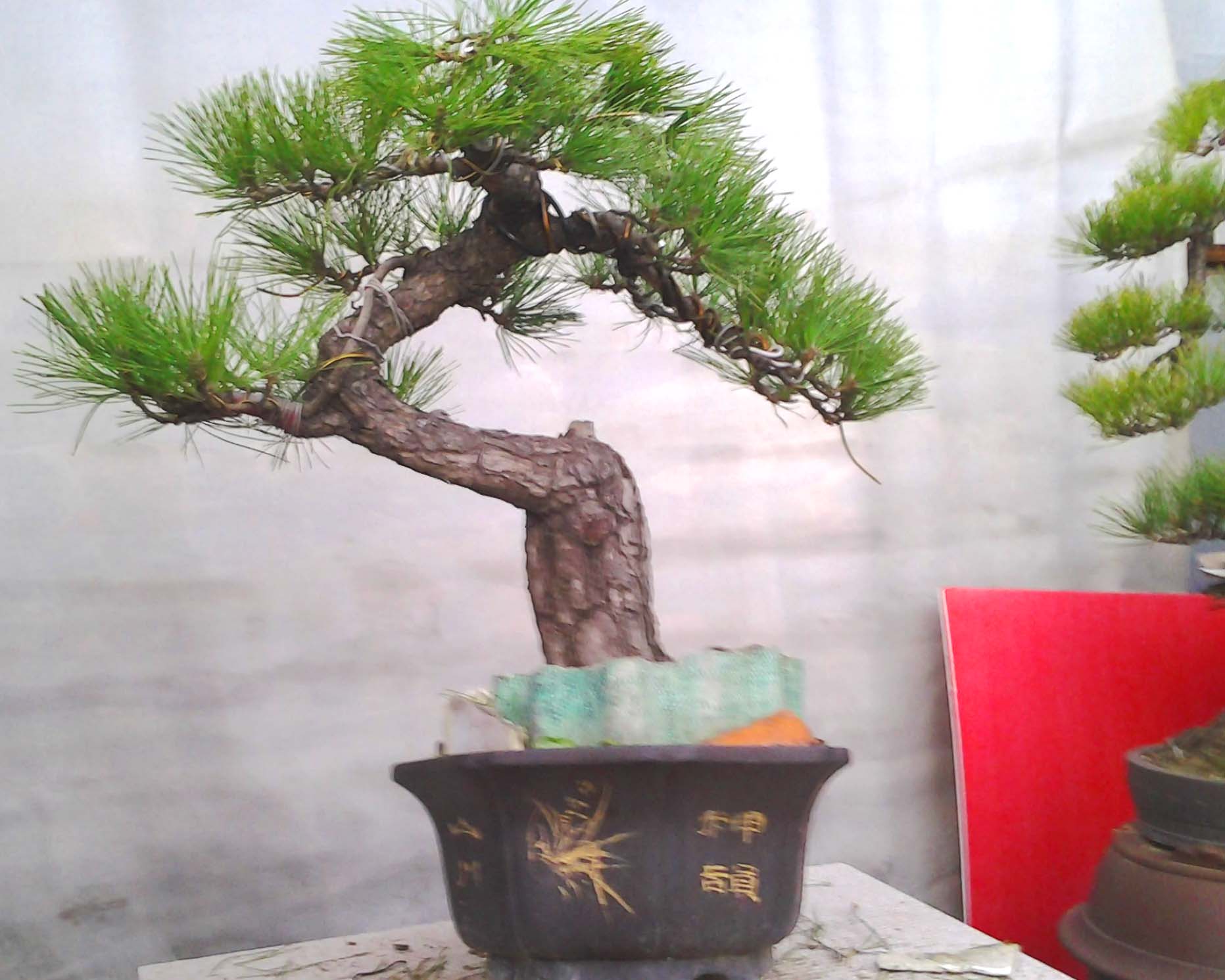 Ƭ0532.jpg