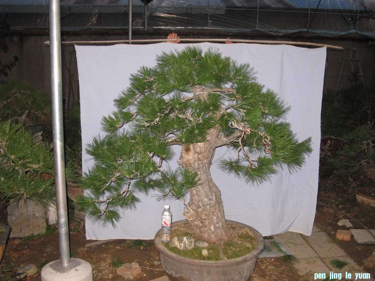 Ƭ 003.jpg
