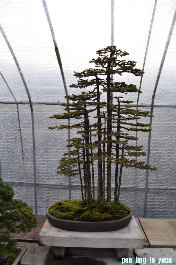 2-20-2011-069.jpg