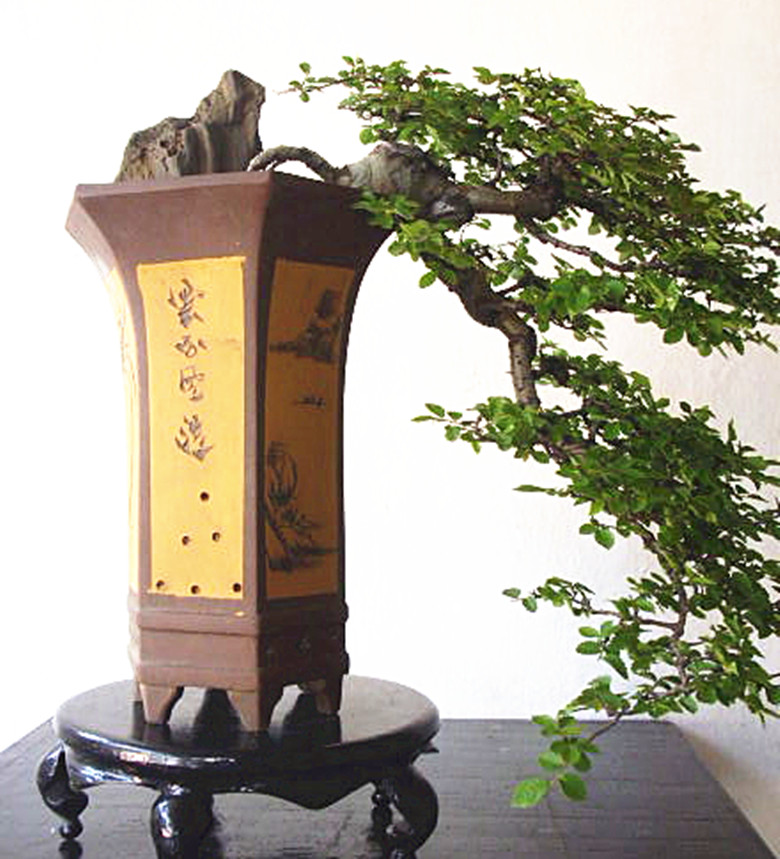 30cmƮ55cm