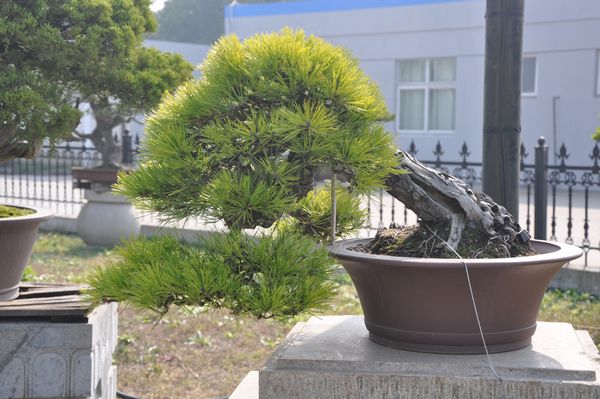 ҵ辰 073.jpg