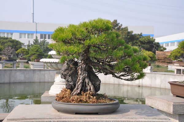 ҵ辰 076.jpg