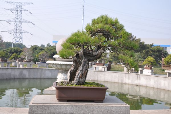 ҵ辰 079.jpg