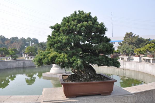 ҵ辰 084.jpg