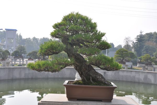 ҵ辰 087.jpg