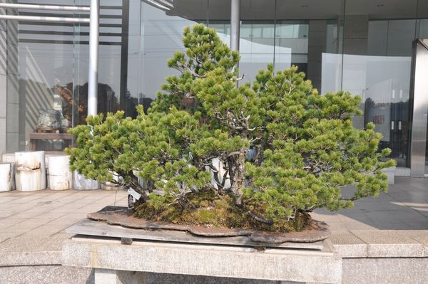 ҵ辰 088.jpg
