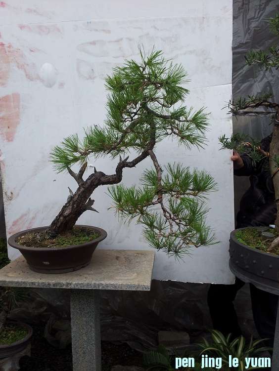 20121123_145807.jpg