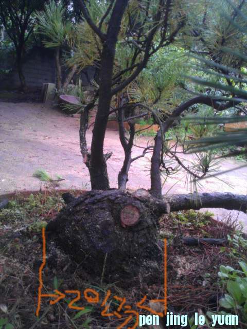 IMAG0579.jpg