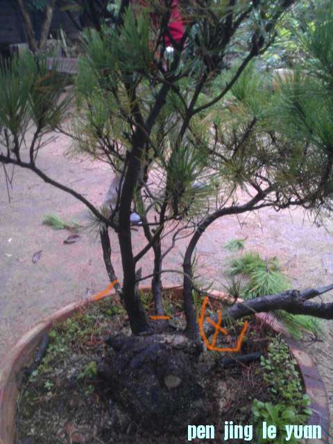 IMAG0578.jpg