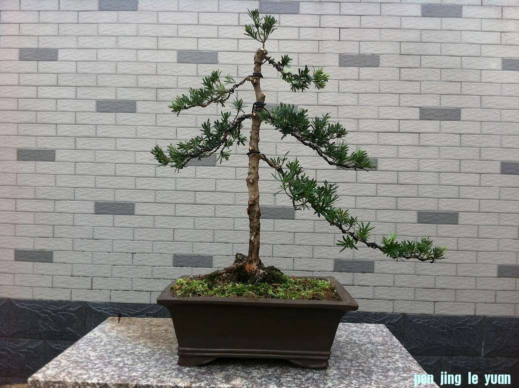 20121124ȸ޺.JPG