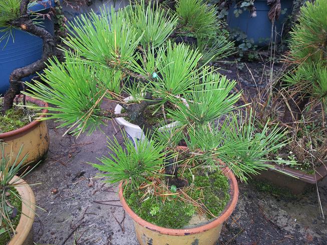 20121124_163311.jpg