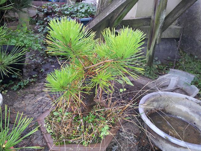 20121124_163318.jpg