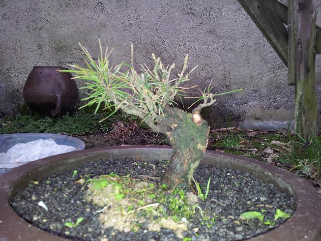 20121124_163349.jpg