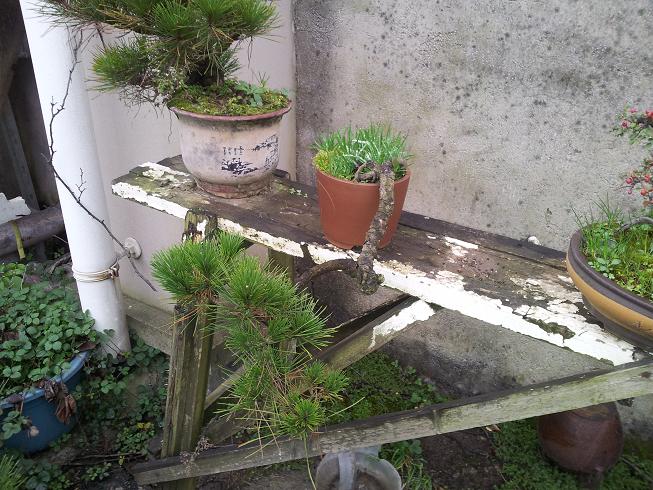 20121124_163410.jpg