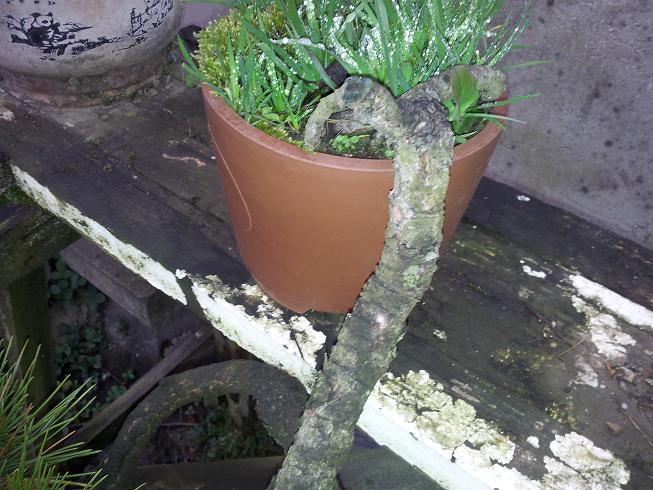 20121124_163427.jpg