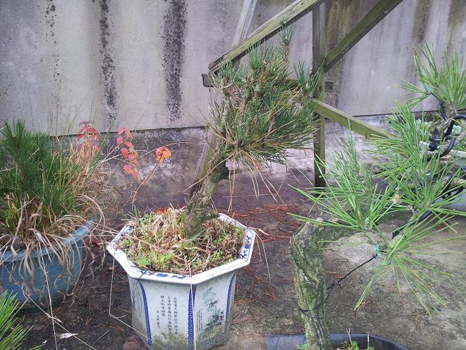20121124_163733.jpg