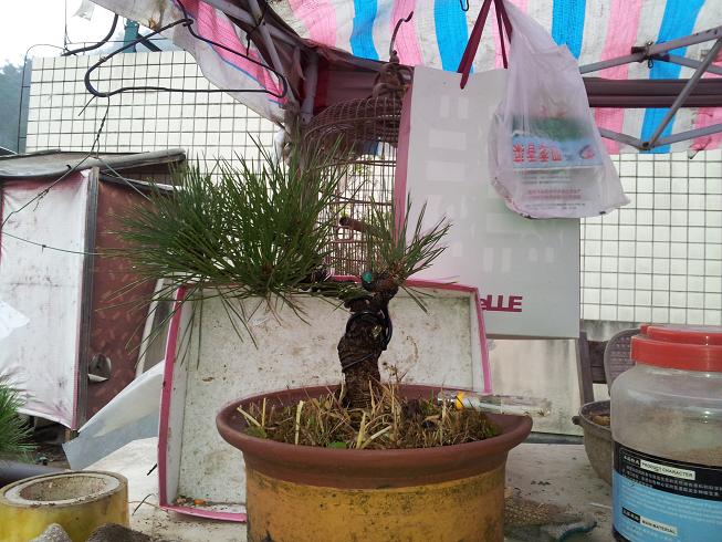 20121124_122907.jpg