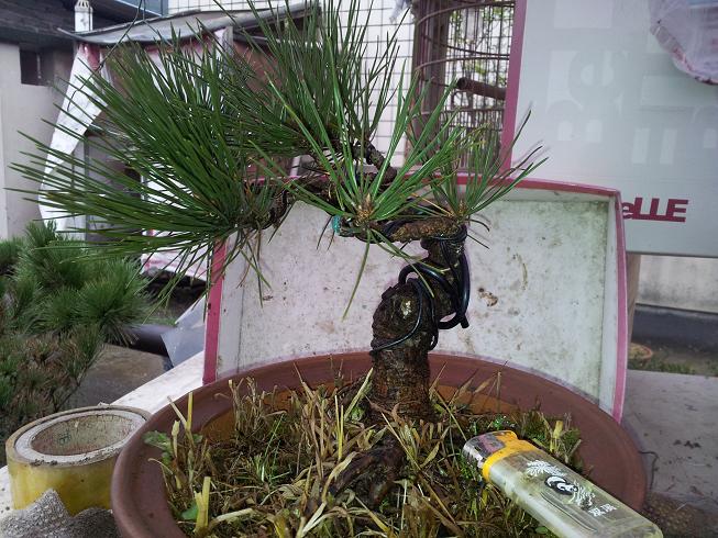 20121124_122920.jpg