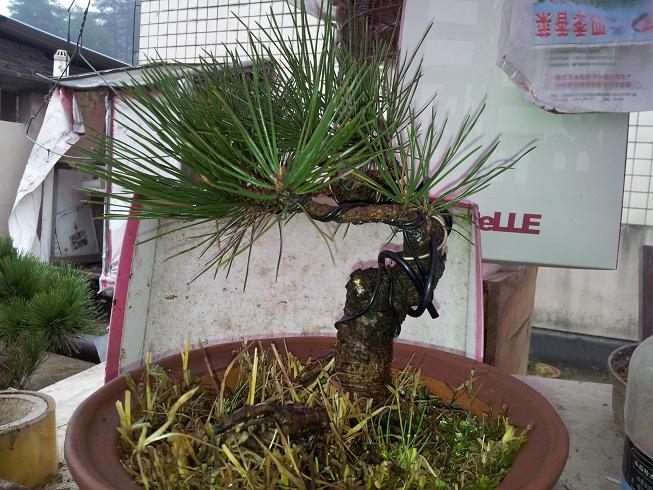 20121124_122941.jpg