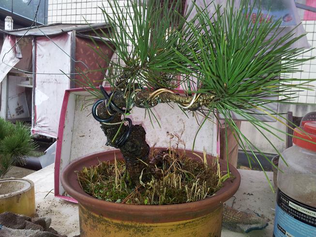 20121124_122955.jpg