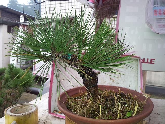 20121124_123011.jpg