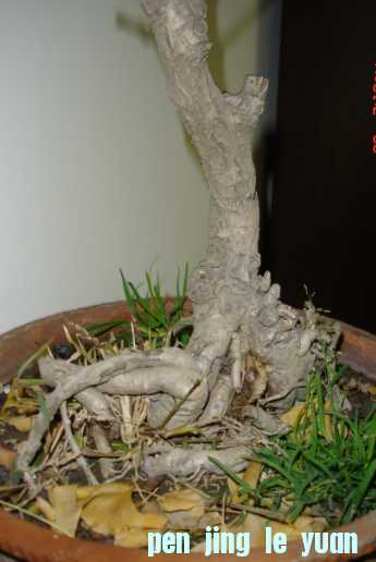 QQͼ20121126210458.png