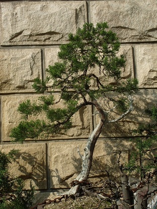 S1051776.JPG