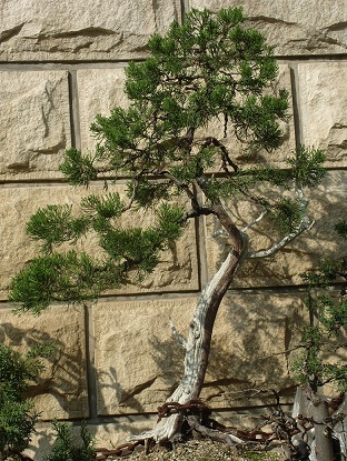 S1051778.JPG