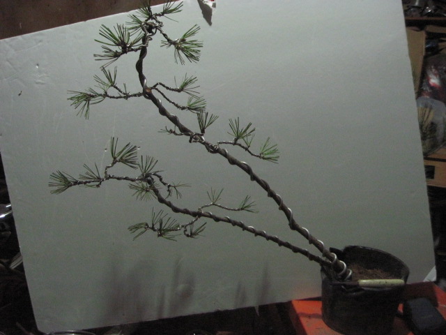 2012-11-27 001.jpg