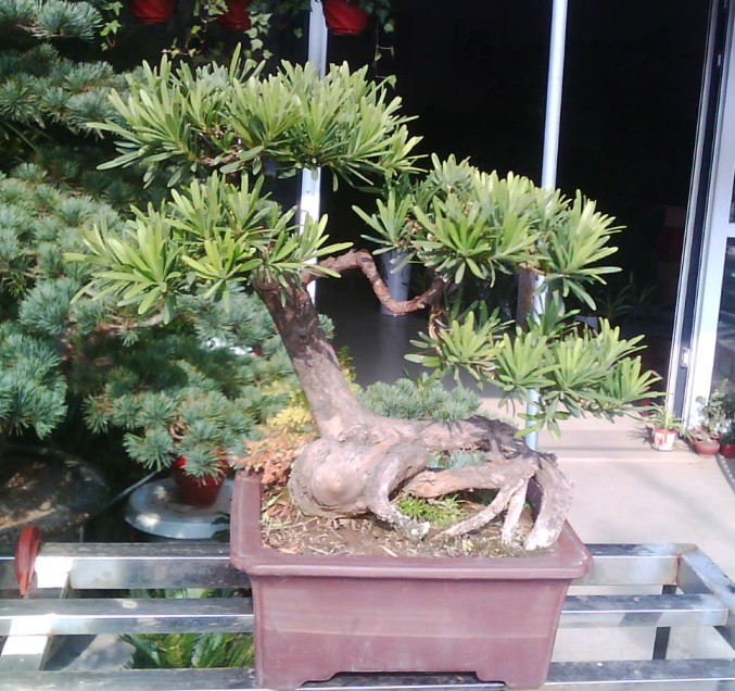 ȸ޺2.jpg