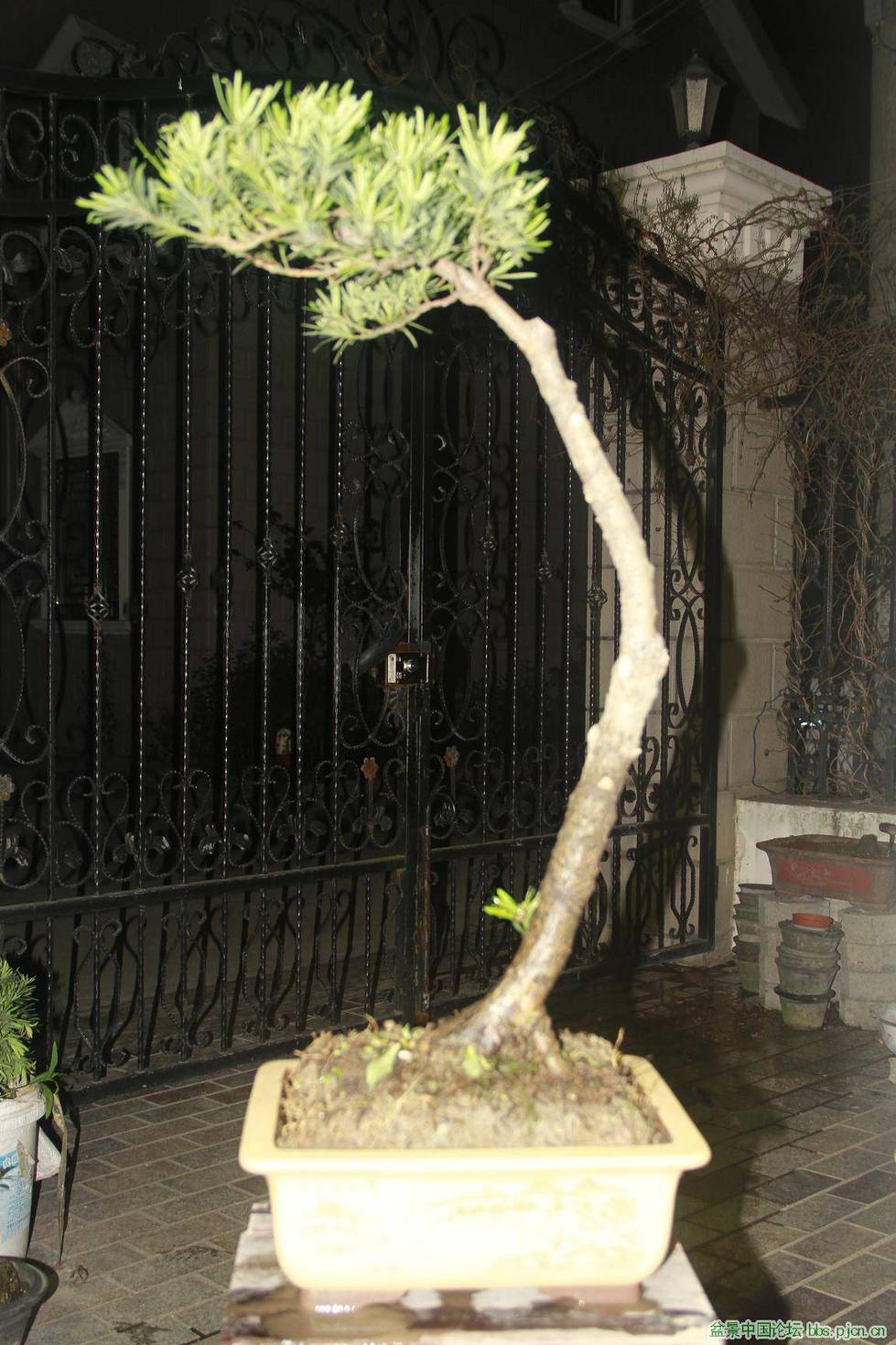 ȸ޺2.jpg