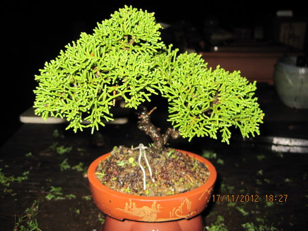 b84896951-ac-7363xf8x0600x0450-m.jpg