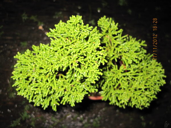 b84896951-ac-8826xf8x0600x0450-m.jpg