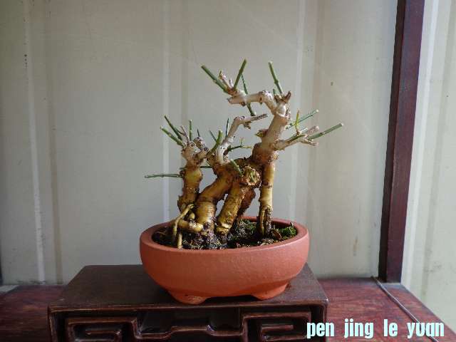 DSC00069.JPG