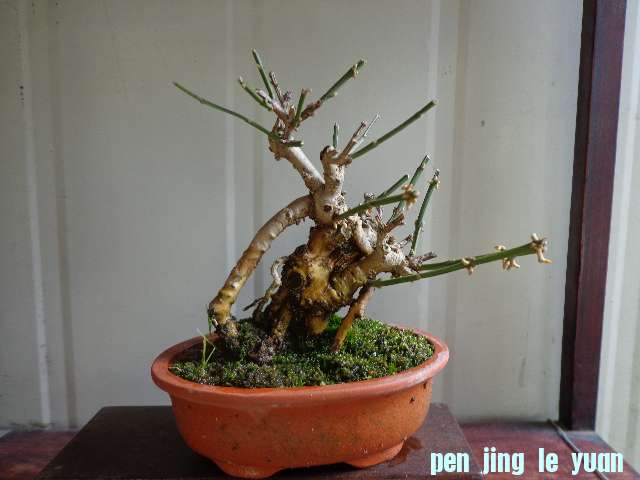 DSC00072.JPG
