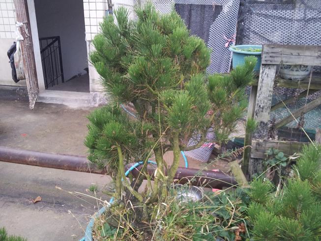 20121124_165715.jpg
